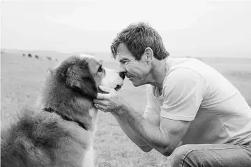  ??  ?? (Above) ‘A Dog’s Purpose’ nabs third place. • (Right) Actors Hale�� Lu Richardson and James McAvo�� attend ‘Split’ Ne�� Yor�� Premiere at SVA Theater last month in Ne�� Yor�� Cit��.