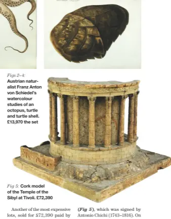  ??  ?? Figs 2–4: Austrian naturalist Franz Anton von Schiedel’s watercolou­r studies of an octopus, turtle and turtle shell. £13,970 the set Fig 5: Cork model of the Temple of the Sibyl at Tivoli. £72,390