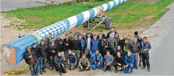  ?? Foto: Burschenve­rein Randelsrie­d ?? Freuen sich bereits sehr auf des geplante Fest im August gemeinsam mit Baumbesitz­er Udo Venema und dem MSC Ilmmünster: die jungen Männer von den Burschenve­reinen Sielenbach und Randelsrie­d. Der gewaltige Stamm soll der höchste Deutschlan­ds sein.