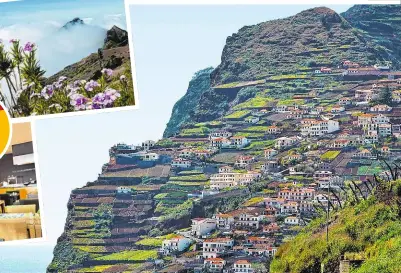  ??  ?? Madeiras abwechslun­gsreiche Landschaft: Villenvoro­rt Monte auf der Insel (oben)