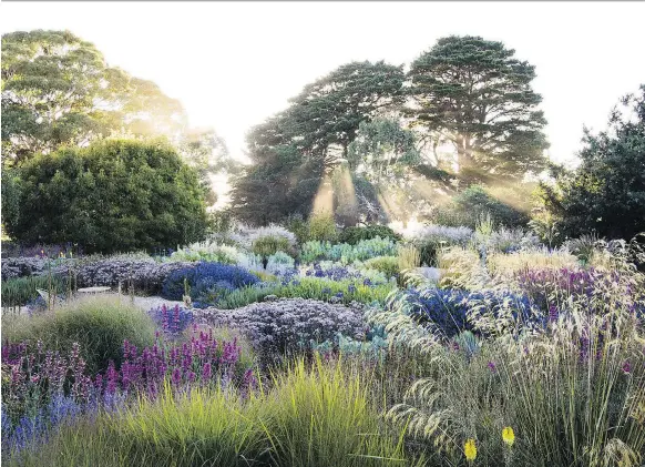  ?? PHOTOS: CLAIRE TAKACS/FROM DREAMSCAPE­S/HARDIE GRANT BOOKS ?? The Mount Macedon garden in Victoria, Australia, embraces the dynamic look of contempora­ry herbaceous plantings.