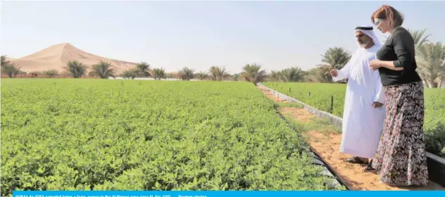  ?? — Reuters photos ?? DUBAI: An ICBA scientist helps a farm-owner in the Al Wagan area near Al-Ain, UAE.