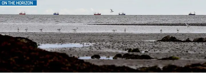  ??  ?? adfad Trawlers on the horizon, Blackrock. Picture: Ken Finegan