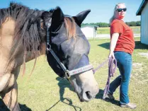  ?? KYLE TELECHAN / POST-TRIBUNE ?? Equine veterinari­an Kate Hodson leads a horse named Trouble to the barn on Sept. 6.