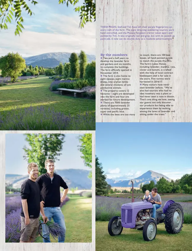  ??  ?? THESE PAGES: Stef and Tim have left their purple fingerprin­ts on every inch of the farm. The signs directing wandering tourists were hand- stencilled, and the Massey Ferguson tractor taken apart and painted by Tim. It was originally red and grey, but...