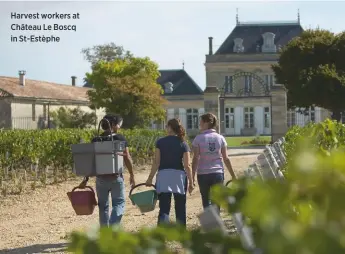  ??  ?? Harvest workers at Château Le Boscq in St-Est•phe