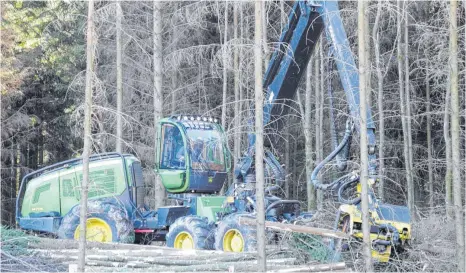  ?? FOTO: FG ?? Der Harvester ist in voller Aktion: Alle paar Minuten wird ein Baum gefällt, von den Ästen befreit und in Stücke zerlegt.