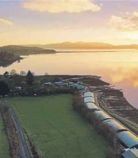  ?? ?? The island location and sustainabi­lity of Gigha halibut that made it so sought after.