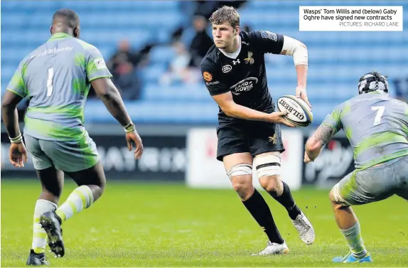  ??  ?? Wasps’ Tom Willis and (below) Gaby Oghre have signed new contracts