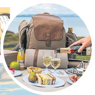  ??  ?? A luxury backpack picnic