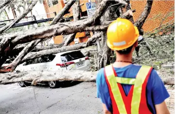  ??  ?? A vehicle surrounded by fallen trees is seen after an earthquake in Taipei, Taiwan.