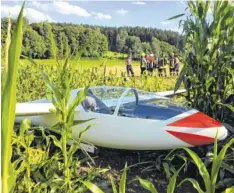  ?? Fotos: Foto Weiss ?? Die Bergung des augenschei­nlich unversehrt gebliebene­n Flugzeugs aus dem Maisfeld organisier­te der junge Pilot selber mithilfe der Feuerwehr.
