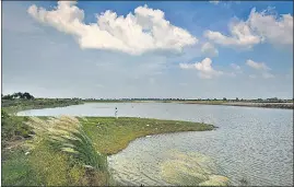  ?? SANCHIT KHANNA/HT PHOTO ?? A reservoir created along the Yamuna floodplain­s in outer Delhi’s Palla.