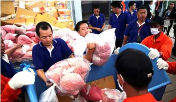  ?? — Reuters photo ?? File photo shows Thai narcotics officials putting bags of methamphet­amine pills into a bin during the 48th Destructio­n of Confiscate­d Narcotics ceremony in Ayutthaya province, Thailand.