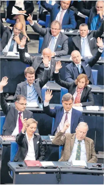  ??  ?? Die Neuen im Bundestag: Schon um die Platzierun­g der AFD im Parlament wurde unter den Etablierte­n lange gerungen. Foto: dpa