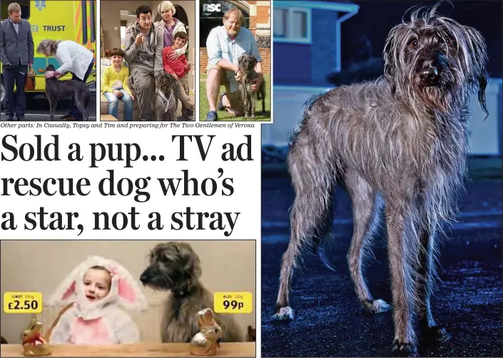  ??  ?? Other parts: In Casualty, Topsy and Tim and preparing for The Two Gentlemen of Verona
Sweet life: In an Aldi chocolate ad which finished with her wearing pink bunny ears
Lead role: On the set of the Blue Cross ad where she plays a stray called Baxter