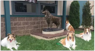  ?? SUBMITTED PHOTO ?? Lassie at the Bucks County Free Library/Doylestown which is on loan from Michener Museum.