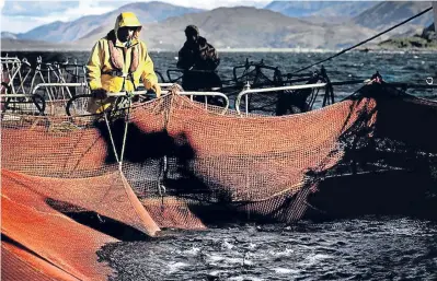  ?? Picture: PA. ?? Scotland needs more exporters to emulate the success of the salmon industry.