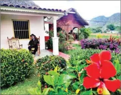  ?? AFP ?? Eduardo Hernandez, owner of a private restaurant and a tobacco cultivator, smokes a cigar at his house in Vinales, Cuba, on January 28.