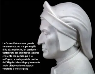  ??  ?? La Commedia è un vero, grande, sorprenden­te zoo – o, per meglio dirla alla medievale, un bestiario – tratteggia­to con inimitabil­e sapienza e inserito con perizia qua e là nell’opera, a sostegno della poetica dell’Alighieri che attinge pienamente anche alle proprie competenze venatorie e ornitologi­che