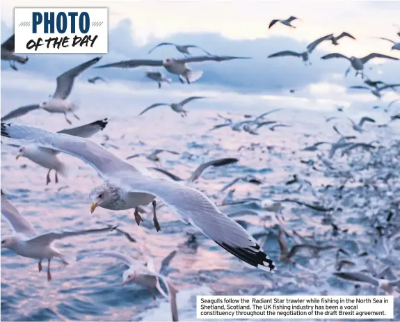  ??  ?? Seagulls follow the Radiant Star trawler while fishing in the North Sea in Shetland, Scotland. The UK fishing industry has been a vocal constituen­cy throughout the negotiatio­n of the draft Brexit agreement.