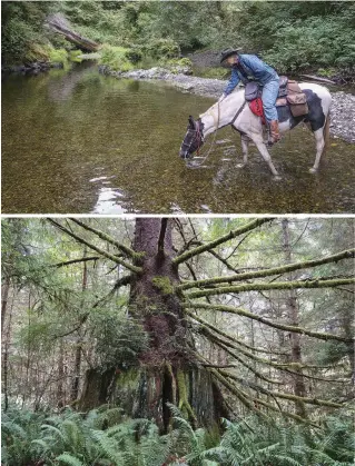  ??  ?? TOP-RIGHT: The north crossing of Mill Creek leaving the east side trail. Check with the park service to be sure these creek crossings are open; they’re sometimes closed from fall to spring. BOTTOM-RIGHT: On the East Branch of Mill Creek drainage,...