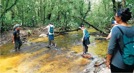  ?? BRUNA TONI/ESTADÃO ?? Aventura. Córrego segue a trilha Dezembro: 3 km com subidas, descidas e até banho de cachoeira