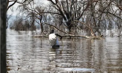  ?? SOPA Images/Rex/Shuttersto­ck ?? Recent climate-related flooding in Lake Nakuru in Kenya has displaced hundreds of people from their homes. Photograph: James Wakibia/