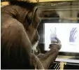  ?? Foto: dpa ?? Dieser Primat spielt „Schnick, Schnack, Schnuck“am Bildschirm.