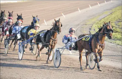  ?? JASON MALLOY/THE GUARDIAN ?? Nogreatmis­chief, with Walter Cheverie in the bike, leads the field around the turn during Race 6 Saturday at Red Shores at the Charlottet­own Driving Park.