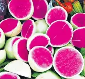  ??  ?? M&S says the vibrant pink ‘watermelon’ radish has taken social media by storm, with users posting pictures of salads made from the vegetable