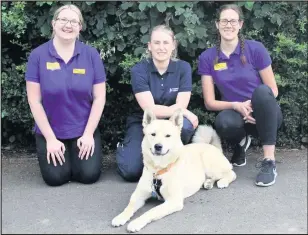  ??  ?? Senior Coach at Dogs Trust Dog School Anna Green and coach Vanessa Reeves with Hannah and Thor on graduation day.
