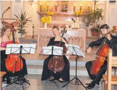  ?? FOTO: VR ?? Beate Schnaithma­nn, Verena Spieß und Matous Mokilasek bilden das Trio „Corde profunde“.