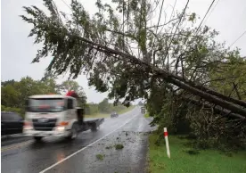  ?? ?? Vehicles drive past fallen trees in Auckland on Tuesday. Photograph: Xinhua/REX/Shuttersto­ck