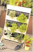  ?? FOTO: DIY ACADEMY/DPA ?? Ein vertikaler Garten braucht wenig Platz und bringt Kräutervie­lfalt auf den Balkon.