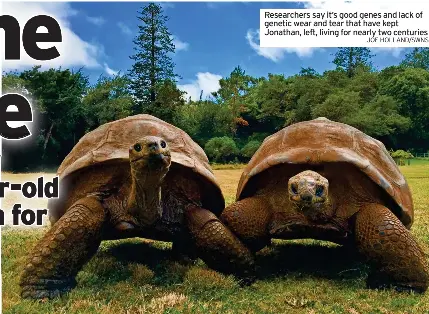 Life in the slow lane | Cambridge News | PressReade­r