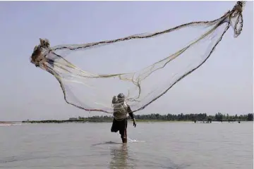  ??  ?? A Pakistani fisherman casts a net into the River Kabul, at Hajji Zai village in Pakistan’s northweste­rn Charsadda District.
