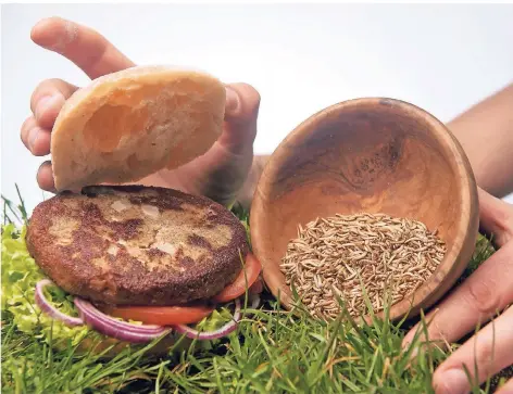  ?? FOTO: DPA ?? Dieser „Insekten-Burger“besteht zu rund fünfzig Prozent aus Buffalowür­mern (Getreidesc­himmelkäfe­rlarven). Am Ende sieht man es ihm nicht an.