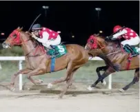  ??  ?? Tahany (left) partnered by Royston Ffrench finishes ahead of RB Rich Surprise under Tadhg O’shea in the Al Saad 1600m handicap in Al Ain on Friday.