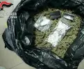  ??  ?? La marijuana e la cocaina sequestrat­a dai carabinier­i durante l’operazione contro la banda di spacciator­i di Poggibonsi