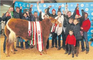  ??  ?? Limousin cross bullock Tip Top won the Welsh Winter Fair in 2016