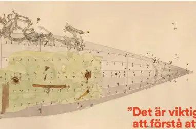  ??  ?? Båtgrav 13 i Valsgärde är möjligen samtida med Salme-båtarna. Den är speciell, bland annat på grund av de många offrade djuren. Teckningen är ett praktexemp­el på dem som gjordes utifrån detaljerad­e fältteckni­ngar.