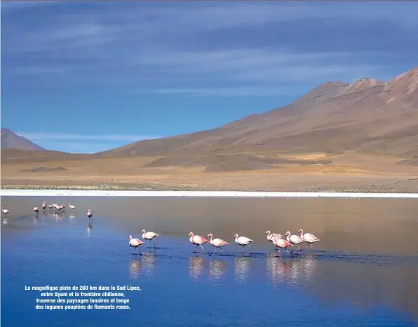  ??  ?? La magnifique piste de 260 km dans le Sud Lipez, entre Uyuni et la frontière chilienne, traverse des paysages lunaires et longe des lagunes peuplées de flamants roses.