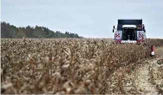  ?? ?? The European Commission fears Russia could exploit its production capacity to flood the EU market with low-cost cereals.