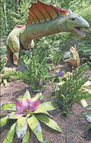  ?? MICHAEL SEARS / MILWAUKEE JOURNAL SENTINEL ?? The Amargasaur­us dinosaur, with bromeliads in the foreground and at rear and then zamia in between.