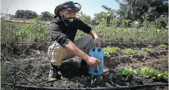  ?? Picture: Sebabatso Mosamo ?? Fazlur Pandor on his small farm in Midrand.