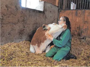  ?? FOTOS: VETERINÄRM­EDIZINISCH­E UNIVERSITÄ­T WIEN/DPA ?? Funktionie­rt drinnen und draußen: Forscherin Annika Lange macht es sich mit einer Kuh im Stroh bequem oder krault den Hals einer anderen auf der Weide. Die Nachfrage nach Streichele­inheiten ist groß.