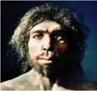  ??  ?? Scientists sequenced DNA from teeth of our Homo antecessor ‘relatives’