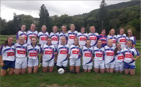  ??  ?? The Éire Óg Greystones team who scraped past a gallant Baltinglas­s side in Laragh on Sunday morning.