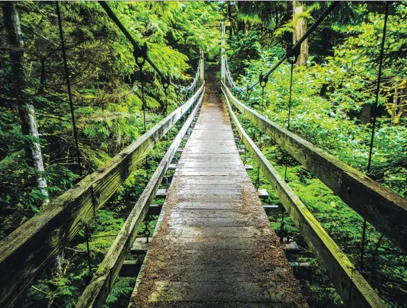  ?? PHOTOS: PAULA WORTHINGTO­N ?? A footbridge crosses a creek on the West Coast Trail.